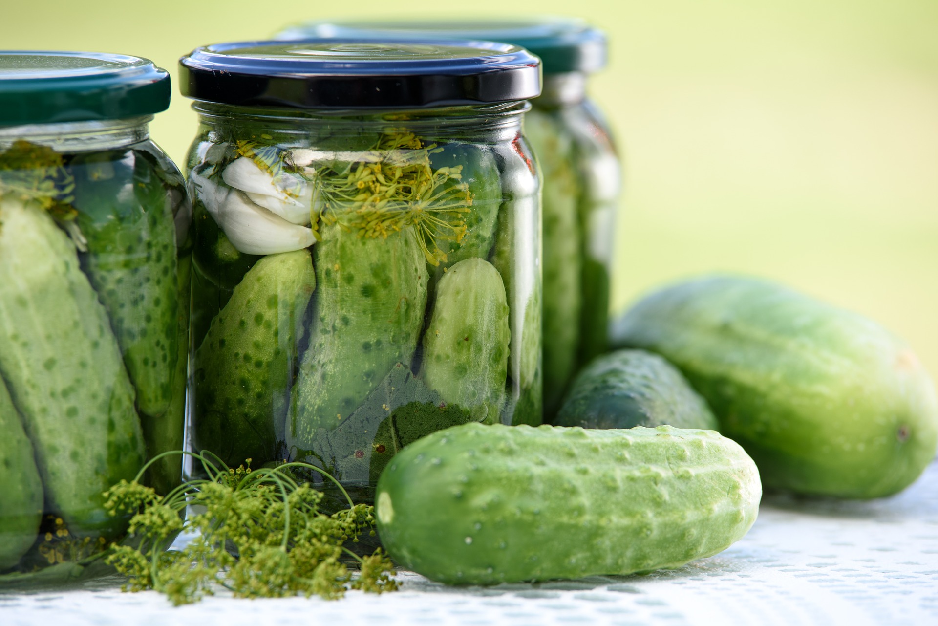 Pickle in the Nickel (of Time) Good Foods Coop