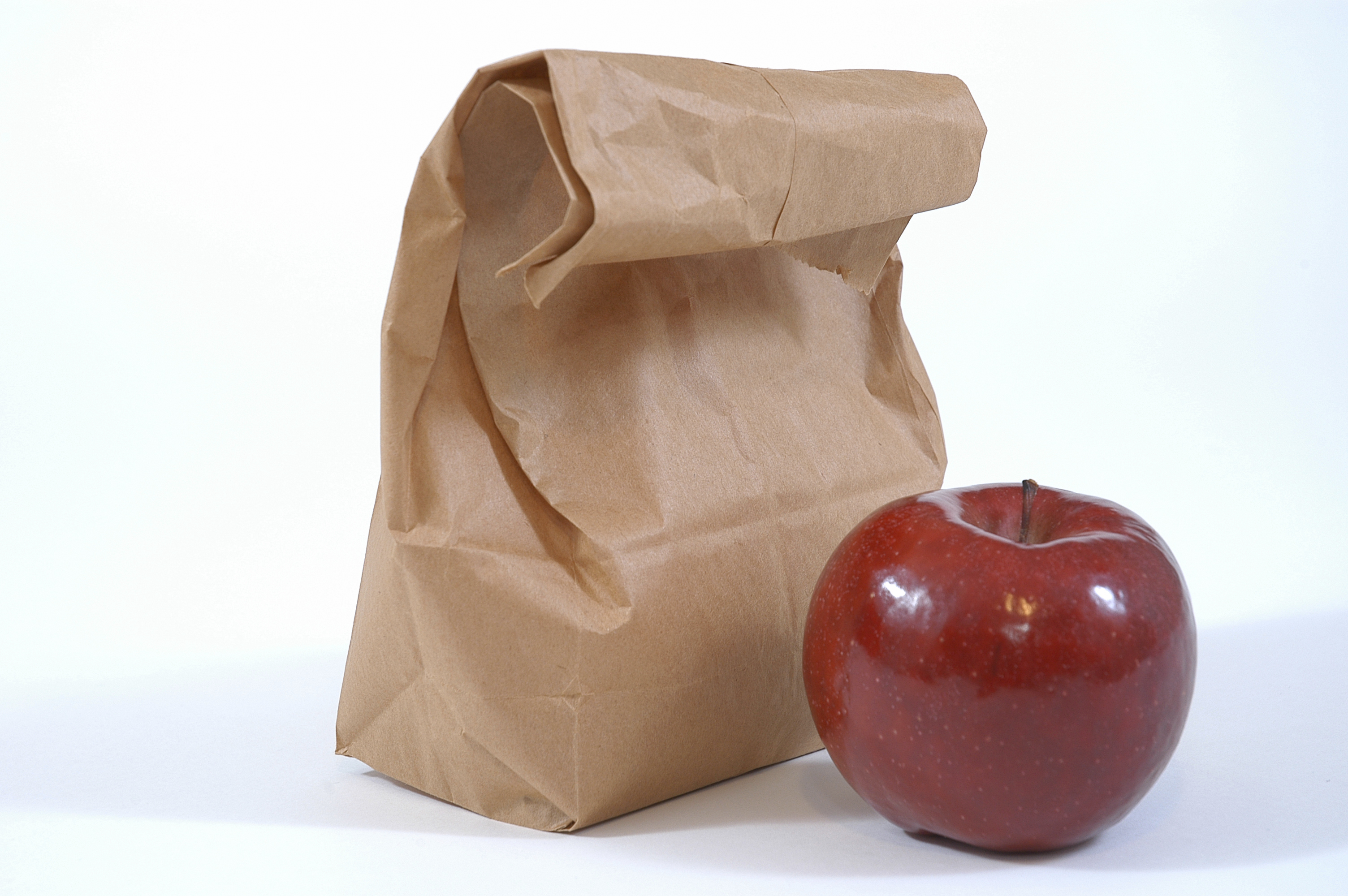 What Is The Meaning Of Brown Bag Lunch